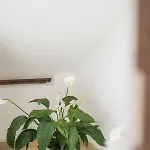 Rarität Mein Herzenshaus Im Altmühltal Ferienhaus Walting